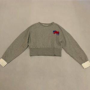 Grey Cropped Crewneck (Stained)